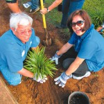 Farmers employees Alfonso Lopez and Carmen Quisisem plant a palm tree
