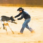 Cory Carveiro does tie-down roping