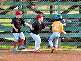 Kawaihau T-Ball: For The Love Of The Game
